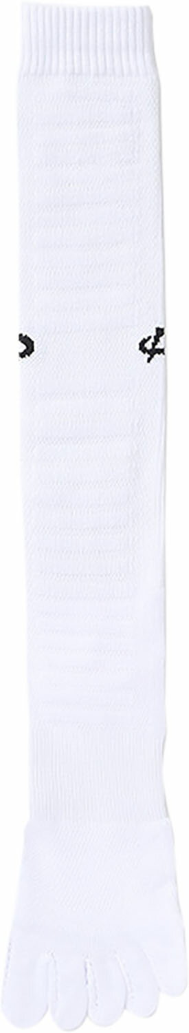 楽天山とアウトドアの店 山気分【先行セール24h限定 全品5％OFFクーポン！】 ファイテン Phiten スポーツソックス 5本指 ロング 2足組 ホワイト 25～27cm AL945373