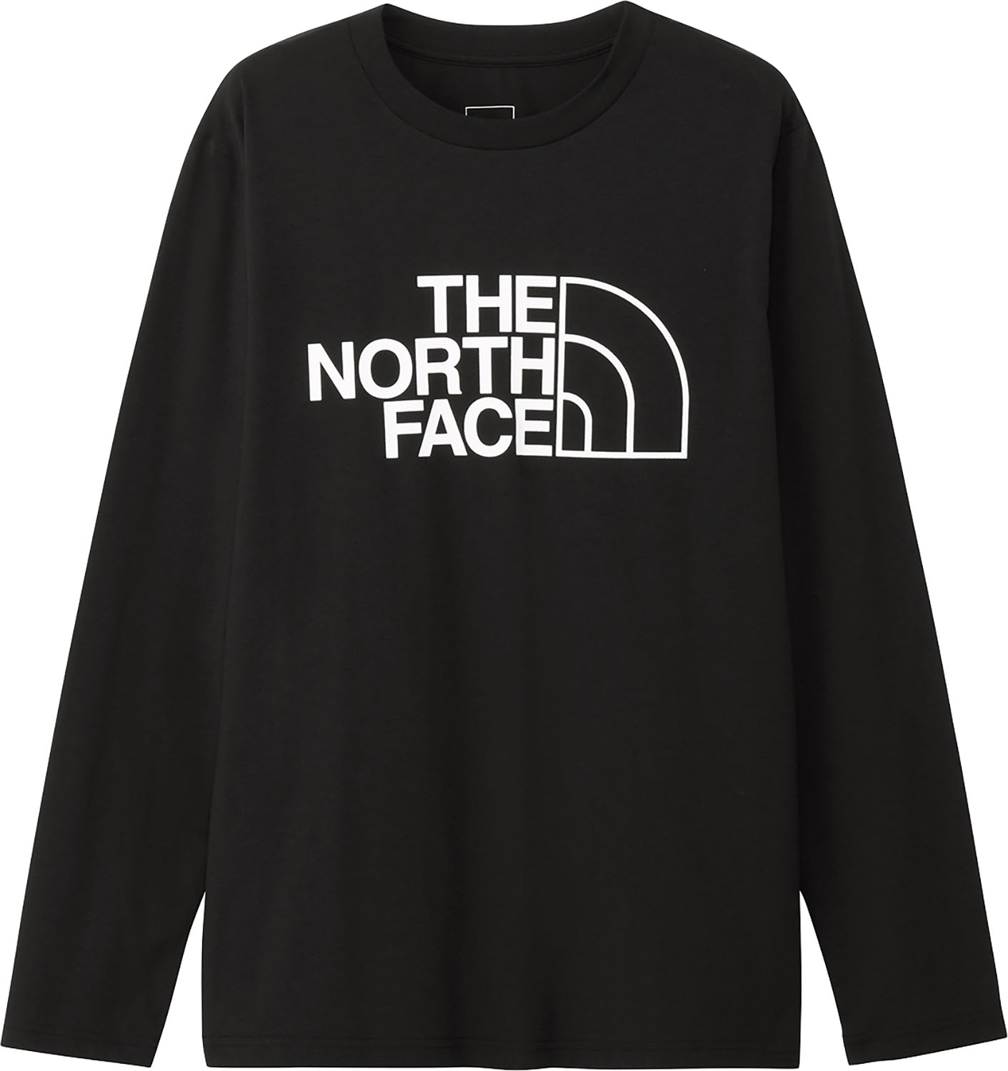 【スーパーセール期間中 MAX5,000円OFFクーポン！】 ザ・ノース・フェイス THE NORTH FACE アウトドア ロングスリーブイーエスビッグロゴティー メンズ 長袖 グラフィック プリント Tシャツ ロンT トップス 普段着 シンプル 抗菌防臭 お出かけ 日常使い NT32580