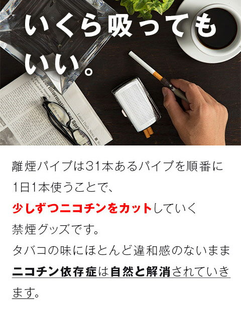 吸いたい気持ちをガマンせず禁煙！ 離煙パイプ GR GS 31本セット| いつもの タバコ 日本製 禁煙グッズ 吸いながら 簡単 らくらく 無理なく禁煙 イライラしない 楽な禁煙 離煙 ニコチンパッチ とは違う 禁煙パイプ