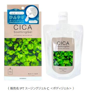 PT �������󥰥����륢������PT �������󥰥�����CICA���ơ��ݼ���������