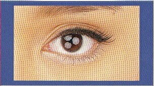 Pure&Beauty�ʥԥ奢������ɡ��ӥ塼�ƥ�����PB-704���̡��ǥ��ܡ��ơ��֥�å���������ץ᡼���ؤ�6�Ĥ�ȯ���ޤǲ�ǽ�Ǥ����ޤĤ���������