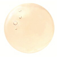 �����ƥˡ�����å��ҡ��ȥ������Ѥβ����ޥå��������ƱդǤ�ȩ�Ҥ�������ݼ���������λ�����ơ����ơ��ݼ��᡼���ؤǤ�ȯ���ϤǤ��ޤ���