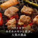 ホルモン 焼肉 豚塩ホルモン 200g 究極の塩だれ 人気商品 焼肉 BBQ スタミナ コラーゲン 美味しい おつまみ お酒のお供 お取り寄せ 人気 バーベキュー 絶品 味付き アレンジ 料理 レシピ キャンプ アウトドア 2