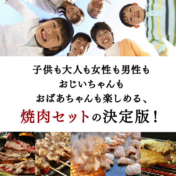 【送料無料】お肉 詰め合わせ 新・みんなの焼肉セット北海道のお肉屋さんあおやまがお届けする、焼肉やbbqにぴったりのセット！幅広い世代が楽しめる味付き牛カルビ、とり串、手羽先、豚みそホルモン、豚塩ホルモンセットです。