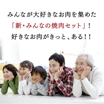 【送料無料】お肉 詰め合わせ 新・みんなの焼肉セット北海道のお肉屋さんあおやまがお届けする、焼肉やbbqにぴったりのセット！幅広い世代が楽しめる味付き牛カルビ、とり串、手羽先、豚みそホルモン、豚塩ホルモンセットです。