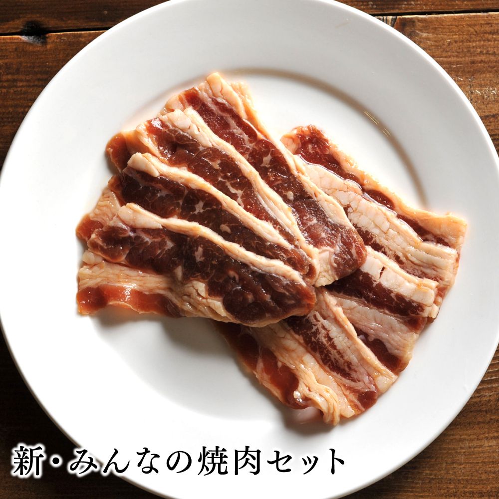 【送料無料】お肉 詰め合わせ 新・みんなの焼肉セット 味付き 牛カルビ 鶏串 手羽先 みそホルモン 塩ホルモン おいしい 豚ホルモン 豚肉 牛肉 アウトドア パーティー プレゼント お取り寄せ 贈答品 キャンプ おうちごはん お酒のお供 野菜と一緒に