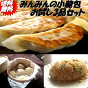 【送料無料】餃子お試しセット【餃