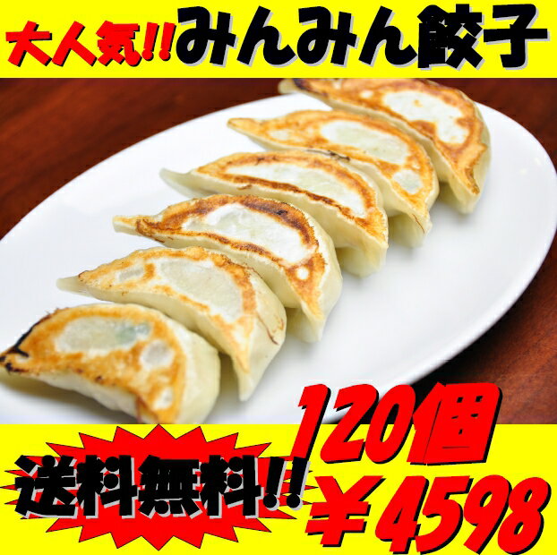 【送料無料】餃子専門店みんみんの餃子 120個 リピーター続出【RCP】【餃子 ぎょうざ ギョーザ】富山より冷凍便で全国にお届けいたします【お中元】【のし】