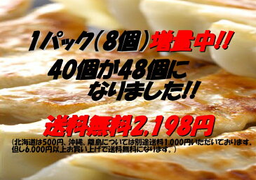 餃子専門店みんみんの餃子 48個 リピーター続出【RCP】【餃子 ぎょうざ ギョーザ】富山より冷凍便で全国にお届けいたします【お歳暮】【おせち】【のし】