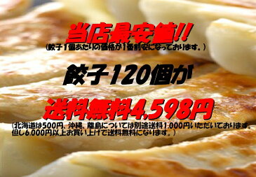 【送料無料】餃子専門店みんみんの餃子 120個 リピーター続出【RCP】【餃子 ぎょうざ ギョーザ】富山より冷凍便で全国にお届けいたします【お歳暮】【おせち】【のし】