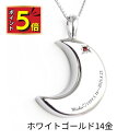 【ポイント5倍|9/30限定】 遺骨ペンダント 遺骨ネックレス 刻印 月2 誕生石 名入れ ゴールド 14金 18金 K14 人間 ペット 小さい おしゃれ かわいい 月 生活防水対応 メンズ レディース ユニセックス 遺骨 遺灰 分骨 手元供養 未来創想