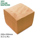 2プライナプキン4つ折25cm(カフェオレ) 3000枚