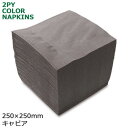 2プライナプキン4つ折25cm(キャビア) 3000枚