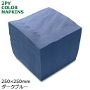 2プライナプキン4つ折25cm(ダークブルー) 3000枚