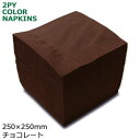 2プライナプキン4つ折25cm(チョコレート) 3000枚