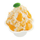 (バガス紙製)ミニフルールカップ ジ・アース 800個_かき氷カップ_デザートカップ