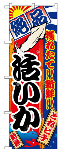 樂天商城 - 業務用 のぼり 2673 活いか_定番サイズ：W60×H180【返品不可商品】