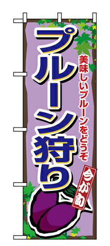 業務用 のぼり 1379 プルーン狩り_定番サイズ：W60 H180【返品不可商品】