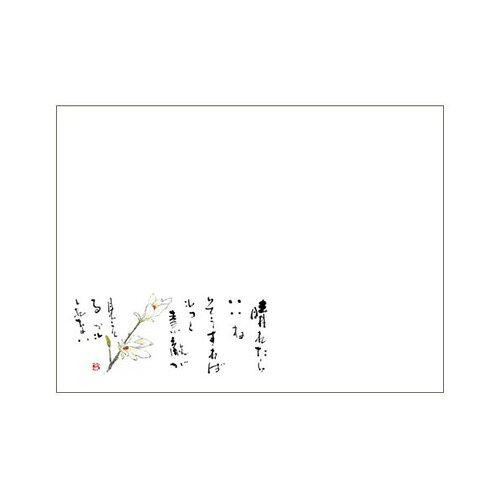 樂天商城 - ランチョンマットV915(シクラメン)100枚