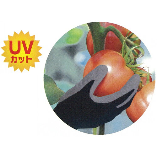 川西工業 2990 ピッタリ倶楽部 1双組 10双（1双組×10）