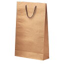 手提げ紙袋 一升瓶2本用 100枚(K-246)【先着順 最大400円OFFクーポン】