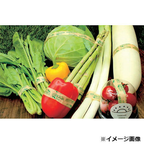 �����ڥơ��� 15mm����100m 120��