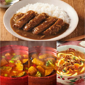 【送料無料】【数量限定】アマノフーズフリーズドライチキンカツカレー入りカレー4種10食セット(チキンカツカレー・畑のカレー2種・カレーうどん)【あす楽対応可】