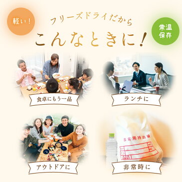 \ クーポン 配布中/ アマノフーズ フリーズドライ 味噌汁 なす 5食 セット 即席味噌汁 非常食 防災 対策 おためし お味噌汁 インスタント食品 まごころ 一杯 国産具材 業務用にも 備蓄 非常食 父の日 2021 お中元 ギフト