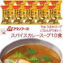 母の日 アマノフーズ フリーズドライ Theうまみ ごはん がうまい スパイス カレー スープ 10食 詰め合わせ インスタントスープ 即席スープ インスタント...