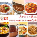 お中元 レトルト食品 常温保存 詰め合わせ 3種類の セット から 選べる レトルト カレー 丼の具 ハヤシ 5袋 【 送料無料 沖縄以外】 日本ハム レトルトカレー どんぶりの具 レンチン 食品 食べ物 仕送り 保存食 敬老の日 2025 お礼 ギフト