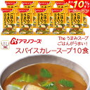 \ クーポン 配布中/ お中元 アマノフーズ フリーズドライ Theうまみ ごはん がうまい スパイス カレー スープ 10食 詰め合わせ インスタントスープ 即席スープ インスタントカレー 食品 ご飯のお供 常温保存 防災 備蓄 保存食 非常食 2025 内祝い お礼 ギフト