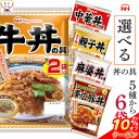 ＼ クーポン 配布中／ レトルト 惣菜 詰め合わせ 選べる 丼の具 6袋 セット 【 送料無料 沖縄以外】 日本ハム レトルト食品 常温保存 おかず 丼の素 レンジ 湯煎 温めるだけ 一人暮らし 仕送り 食べ物 贈り物 プレゼント 実用的 母の日 2024 父の日 ギフト