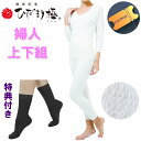 期間限定クーポン 配布! 【ポイント20倍】ひだまり 極 婦人用上下セット 【レビューでネックウォーマーorソックスなどサービス】【送料無料】【ポイント20倍】...