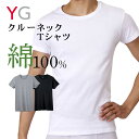YG グンゼ クルーネック Tシャツ 綿100% メンズ 男性 紳士 肌に優しい 定番 オールシーズン 抗菌防臭加工 インナー M L LL ブラック 黒 グレー 紺 ホワイト 白