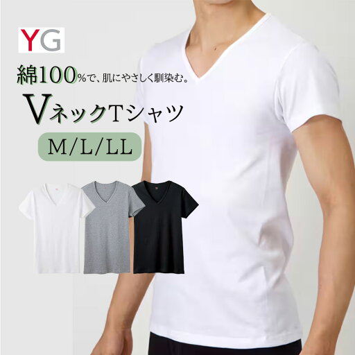 YG グンゼ V首 Tシャツ 綿100% メンズ 男性 紳士 肌に優しい 定番 オールシーズン 抗菌防臭加工 インナー M L LL ブラック 黒 グレー 紺 ホワイト 白 コットン YG グンゼ V首 Tシャツ 綿100% メンズ 男性 紳士 肌に優しい 定番 オールシーズン 抗菌防臭加工 インナー M L LL ブラック 黒 グレー 紺 ホワイト 白 コットン