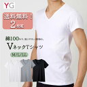 お買い得 送料無料 2枚組 セット YG グンゼ V首 Tシャツ 綿100% メンズ 男性 紳士 肌に優しい 定番 オールシーズン 抗菌防臭加工 インナー M L LL ブラック 黒 グレー 紺 ホワイト 白 コットン(4)