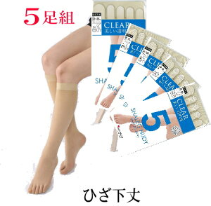 【ポイント5倍】【5足組】【5本指ひざ下ストッキング】5本指DCYサポートタイプ ハイソックス5本指 ストッキング（膝下ハイソックスタイプ） 5本指ソックス / 5本指ストッキング / 5本指パンスト