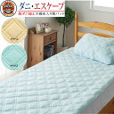 スーパーセール半額! 処分 セール 現品限り アース製薬 開発 ダニエスケープ 消臭糸 ミレーヌ 敷パッド セミダブル ダニ・エスケープ 防ダニ加工 敷パット ...