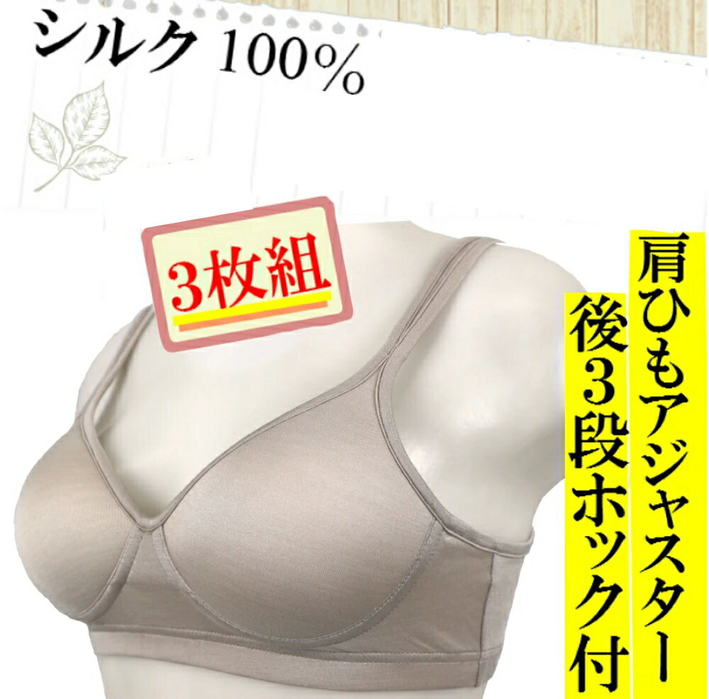 【新発売】【3枚組】【ポイント5倍】モールドカップ シルクブラジャー カタクラ製 アイシルク isilk レディース 女性下着 肌着 アンダーウェア 絹 【送料無料】