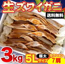 【送料無料】【極太サイズ 3k7肩 送料無料】【余裕の7人前】鮮度抜群 生ずわいがに殻付5R( 表記は5Rですが、5Lサイズ相当) 3kg 7肩 【カニ】【蟹】...