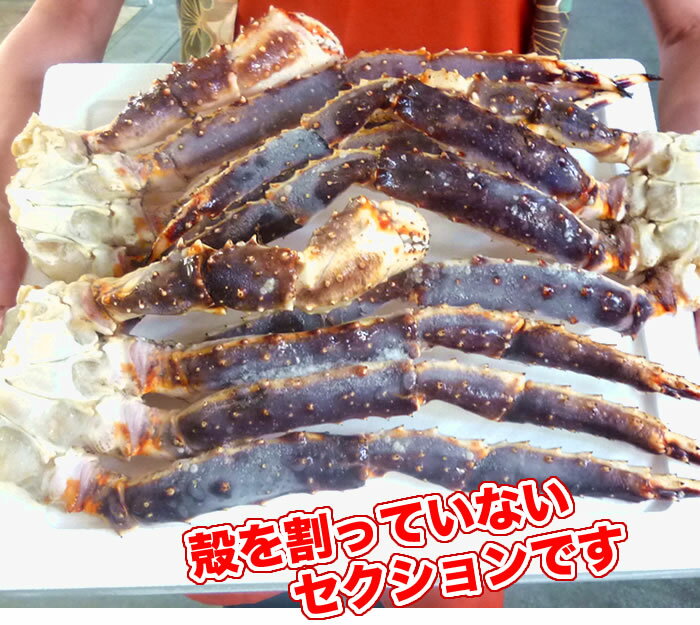 ̵2024ʪФ(5L)3kg23 ǥǤڡ¾ƱԲġ̳ۡƻؤ500ߤޤ