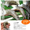 商品画像2:冷凍無頭ブラックタイガーエビ500グラム バラで冷凍 旨みプリプリ (定番サイズ 26/30サイズ) 【えび】【ブラックタイガー】【エビ料理】【エビ天】【シュリンプ】【アヒージョ】【おせち料理】【無添加】