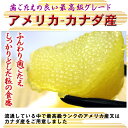 商品画像2:★送料無料⇒今度は薄皮除去済で4980円で再販! 【パリパリ保障は当店だけ】超特特大!さらにパリパリゴールド! 塩数の子1kg(きれいな1本羽だよ!) 【カズノコ】【かずのこ】【塩カズノコ】【おせち】【味通】【北海道・沖縄へは別途送料500円かかります】