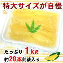 商品画像2:★送料無料⇒今度は薄皮除去済で4980円で再販! 【パリパリ保障は当店だけ】超特特大!さらにパリパリゴールド! 塩数の子1kg(きれいな1本羽だよ!) 【カズノコ】【かずのこ】【塩カズノコ】【おせち】【味通】【北海道・沖縄へは別途送料500円かかります】