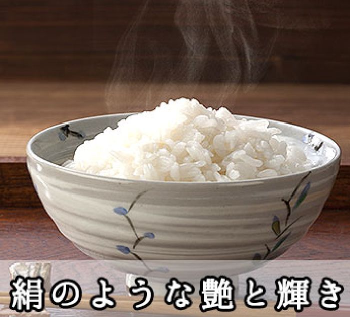 【送料無料】新米31年産 きぬひかり　神戸の清水さんの新米【キヌヒカリ】10kg