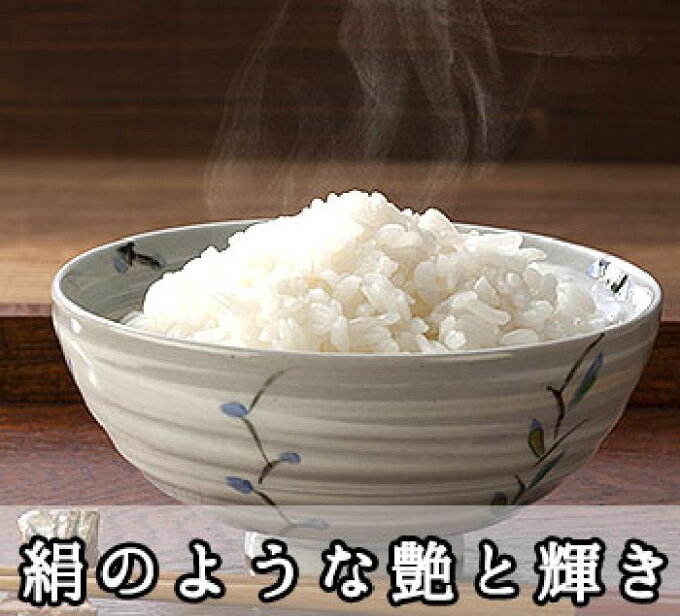 【送料無料】新米31年産 きぬひかり　神戸の清水さんの新米【キヌヒカリ】5kg...