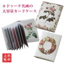 \ポイント10倍!/ 5/5 0:00〜23:59 1000円ぽっきり カードケース スリム カードケース 大容量 カードケース レディース 薄型 ポイントカー...