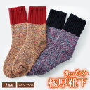 \ポイント10倍!/ 5/5 0:00〜23:59 2色組【人気】ロングパイルのぽかぽかソックス あったか靴下 パイルソックス 靴下 厚地 厚手 2足 セット暖...
