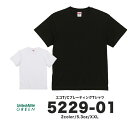 無地 半袖 イージーケア リサイクルポリエステル タウンユース United Athle 5.3オンス エコT/C プレーティング Tシャツ XXL ホワイト ブラック 5229-01 (C)