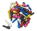 ステンレスカラーボルト(M5×15) レッド TL-109F-515 TL-109F-515-RE(4)